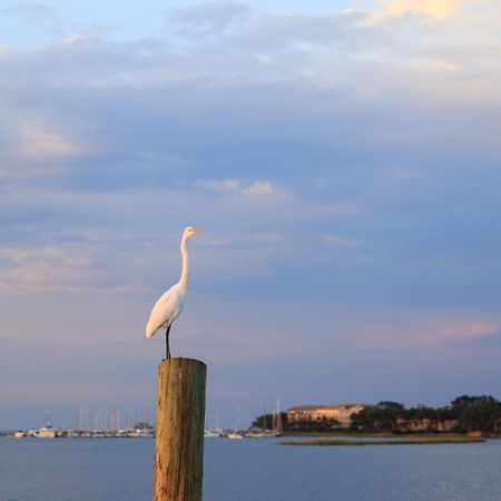 Stoney Creek Villa 299 Hilton Head Island Exteriér fotografie