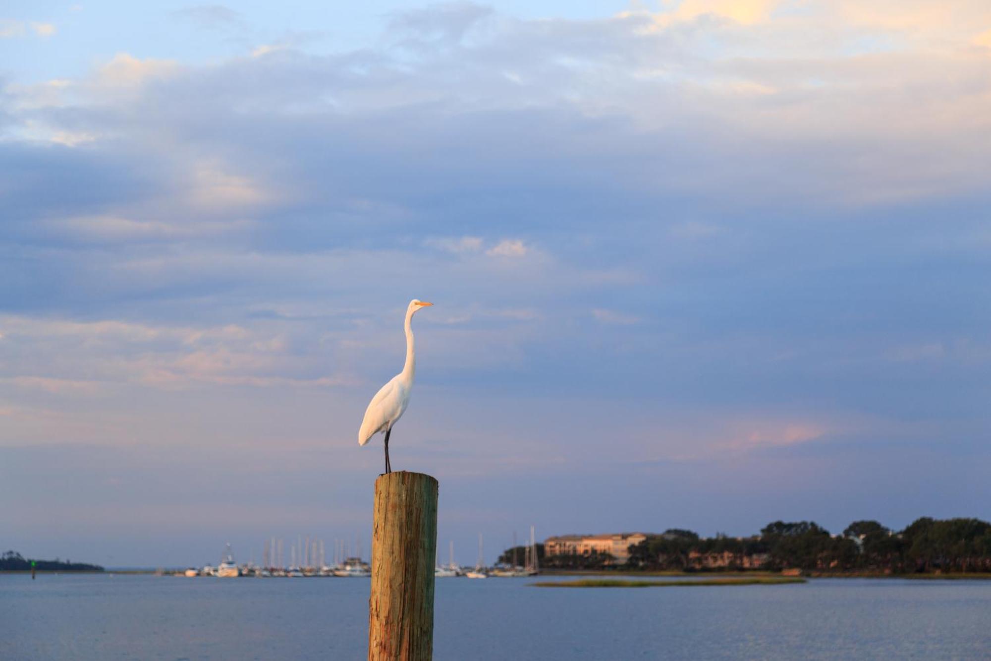 Stoney Creek Villa 299 Hilton Head Island Exteriér fotografie