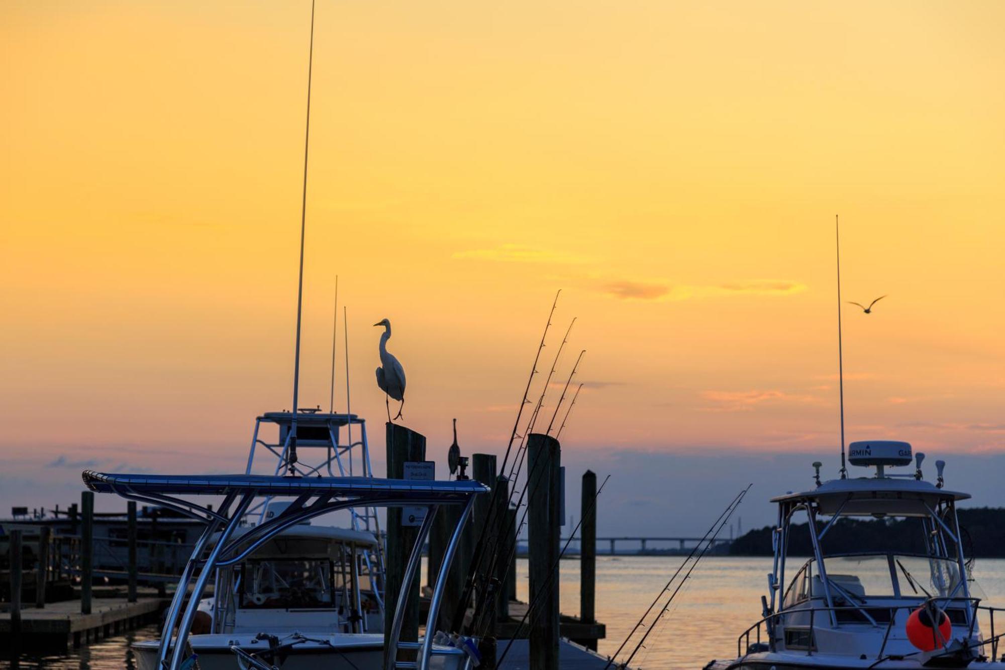 Stoney Creek Villa 299 Hilton Head Island Exteriér fotografie